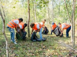 Five Powerful Benefits of Community Volunteering That Strengthen Lives and Neighborhoods